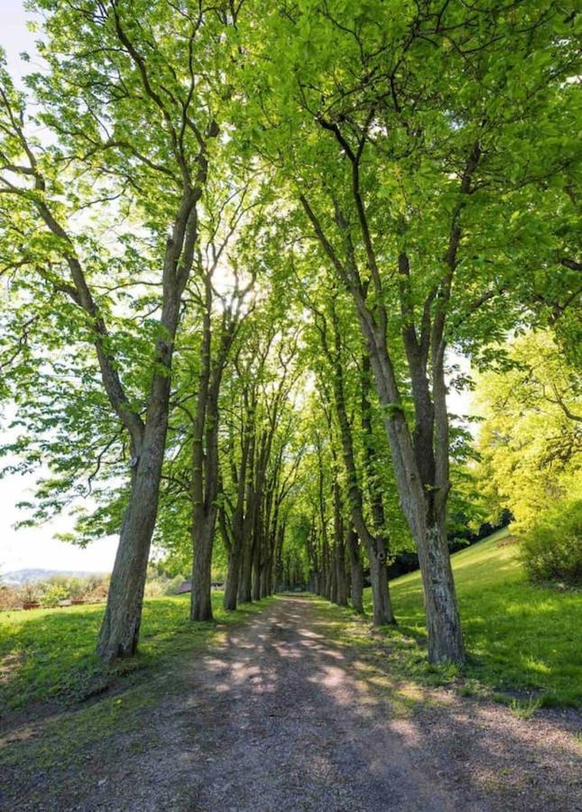 Urlaub In Schlossnaehe Artstetten Buitenkant foto